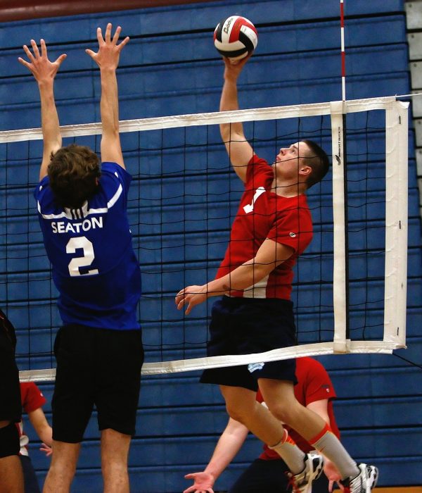 forvoley